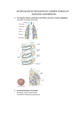 Recopilacion-preguntas-examen-teorico-de-zoo.pdf