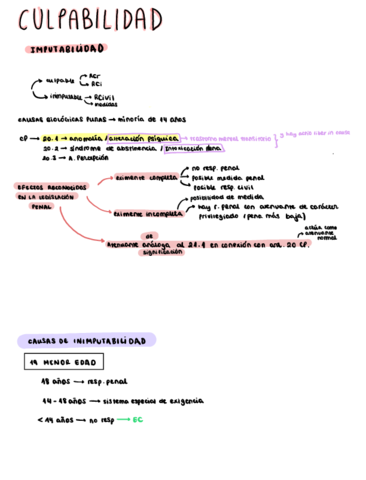 BLOQUE-6-CULPABILIDAD.pdf