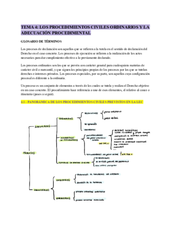 PROCESAL-tema-4.pdf