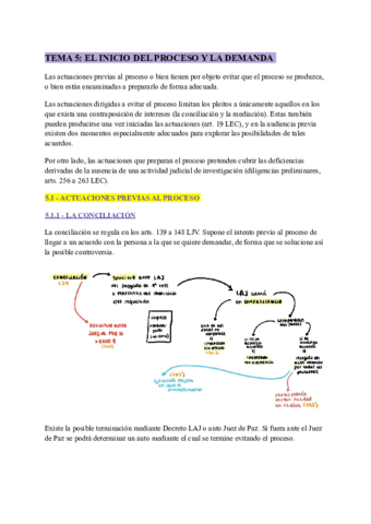 PROCESAL-Tema-5.pdf