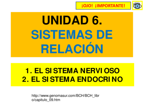 U.6-Los sistemas de relación.pdf