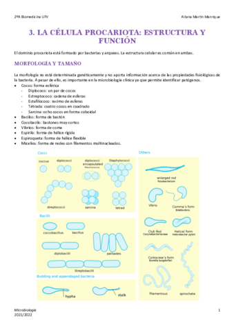 Tema-3-Celula-Procariota.pdf