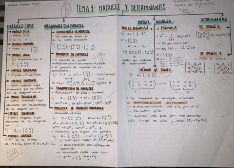 ESQUEMA-MATRICES-Y-DETERMINANTES.pdf