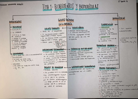 ESQUEMAS-BIO-TEMAS-1-2-3-4.pdf