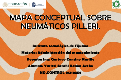 MAPA-CONCEPTUAL-SOBRE-NEUMATICOS-PILLERI.pdf