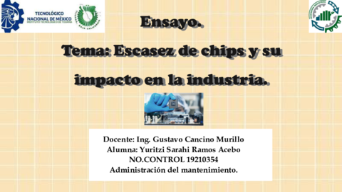 Ensayo-AM.pdf