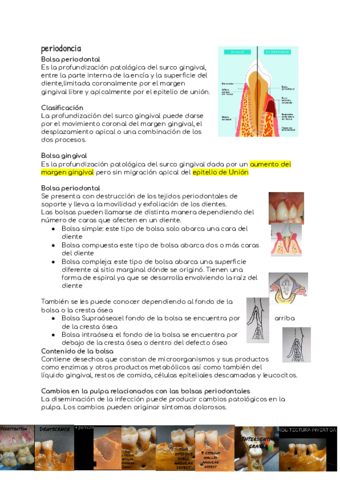 Bolsa-periodontal.pdf