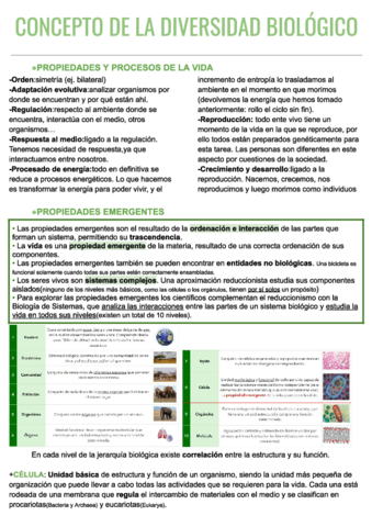 Temario-Diversidad-1o-cuatri.pdf
