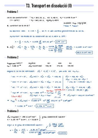 P3-Transport-en-dissolucio-II.pdf