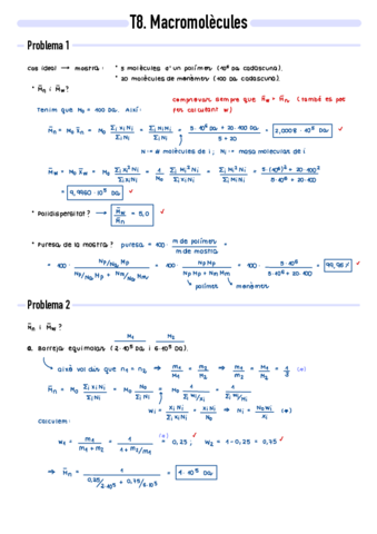 P8-Macromolecules.pdf