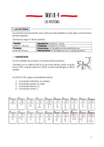Tema-4-proteinas.pdf