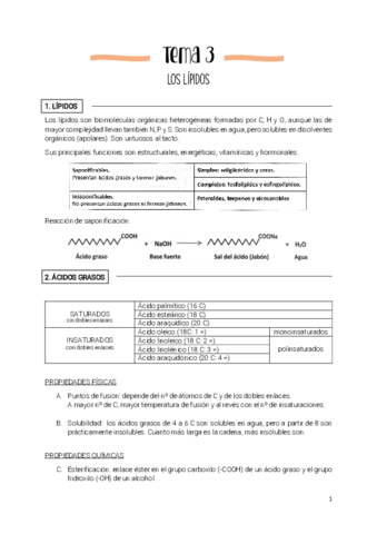 Tema-3-lipidos.pdf