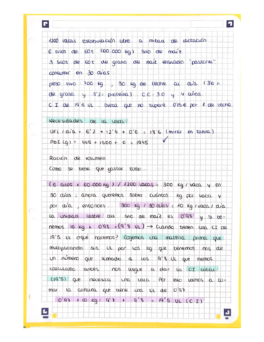 Problema-alimentacion-tipo-examen-explicado-paso-a-paso.pdf