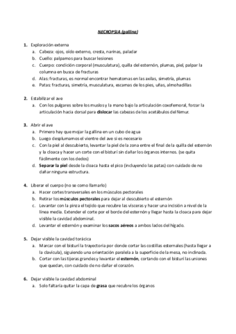 GUION-DE-NECROPSIAS.pdf