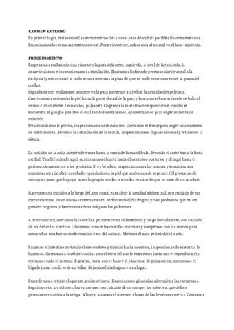 Protocolo-necropsias.pdf