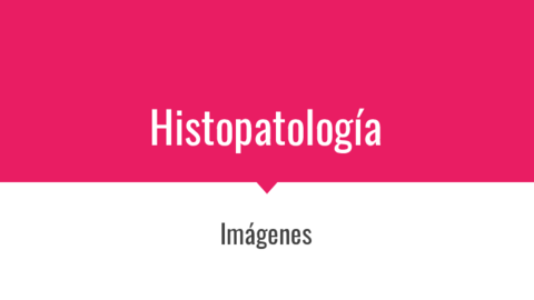 Histopatologia-Fotos.pdf