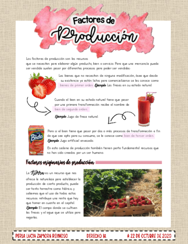 Factores-de-produccion.pdf