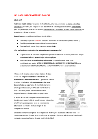 Desarrollo-de-habilidades-motrices-Tema-4.pdf