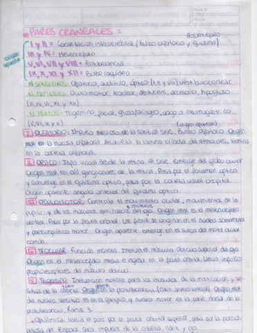 Pares-craneales.pdf