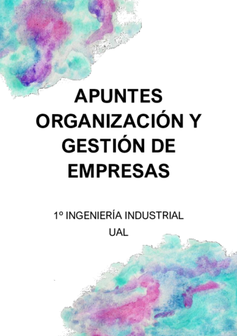 APUNTES-OGE-Temas1-7.pdf