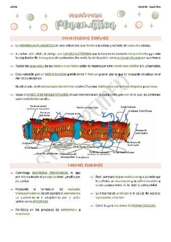 Membrana Plasmática