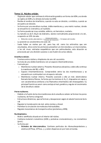 Tema-11.pdf