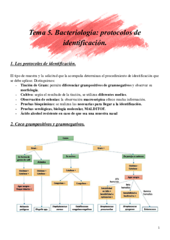 Tema-5.pdf