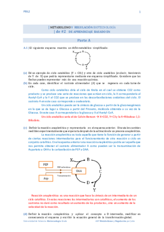 PBL2.pdf