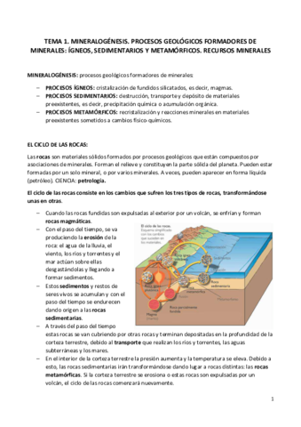 TEMA-1.pdf