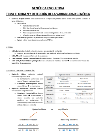 Genetica-Evolutiva-19.pdf