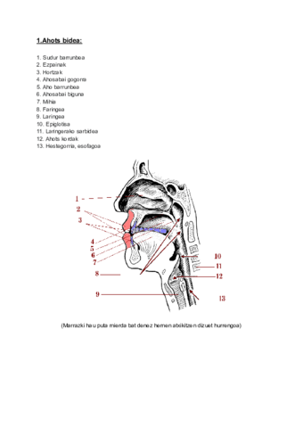 Fonetika-apunteak-1.pdf