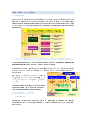 TEMA-10-li.pdf