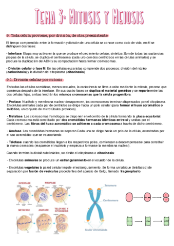 Mitosis-y-meiosis-.pdf