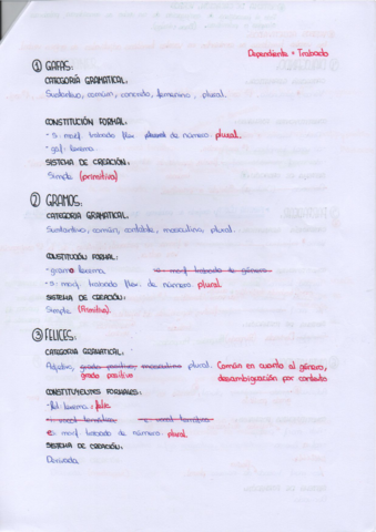 EBAU-ejercicios-morfologia-resueltos.pdf