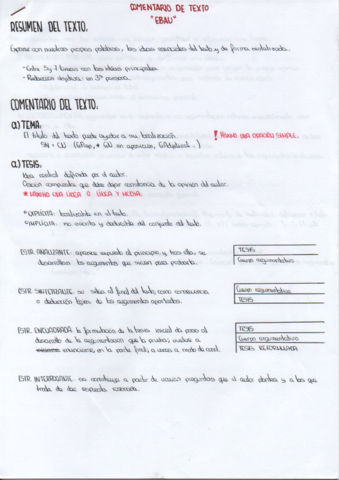 EBAU-comentario-de-texto.pdf
