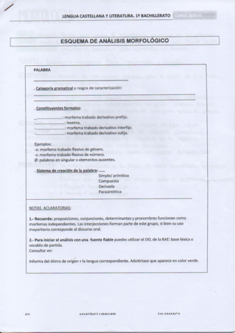 EBAU-morfología.pdf