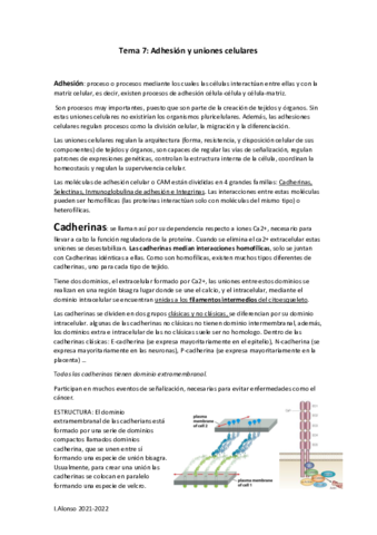 T7-Adhesion-y-union-celular-CASTELLANO.pdf