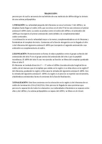 TRADUCCION-.pdf