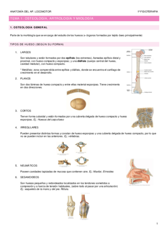 TEMA-1-osteologia-artrologia-y-miologia.pdf