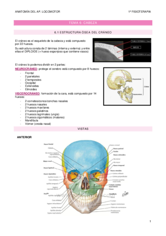 TEMA-6-craneo.pdf