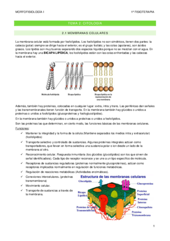 TEMA-2.pdf