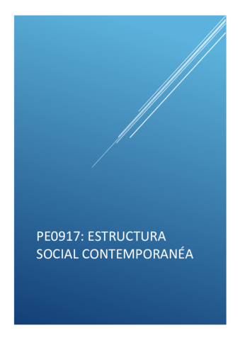 APUNTES-estructura-social-contemporanea.pdf