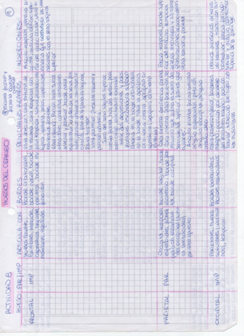 cuadro-huesos-del-craneo.pdf