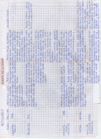 cuadro-huesos-de-la-cara.pdf