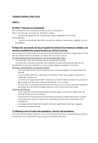 EXAMEN GERENA JUNIO 2013 resuelto.pdf