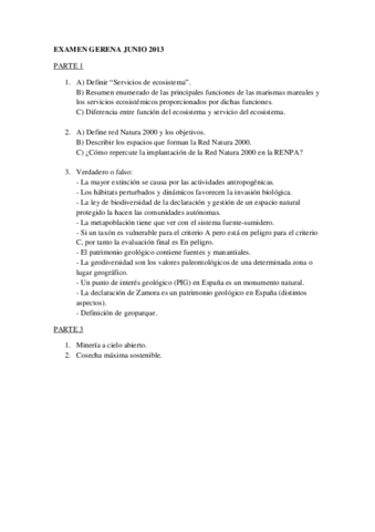 Examen GERENA junio 2013.pdf