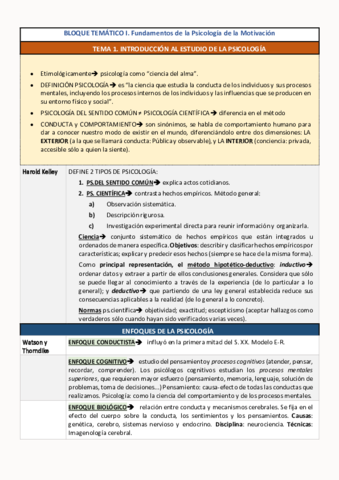 REPASO-MOTIVACION-NESSA.pdf