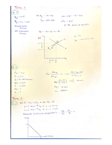 EJERCICIOS-MICRO-TODOS-LOS-TEMAS.pdf