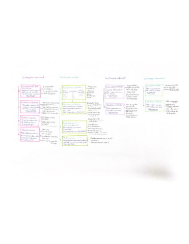 Sintagmas-nominales.pdf