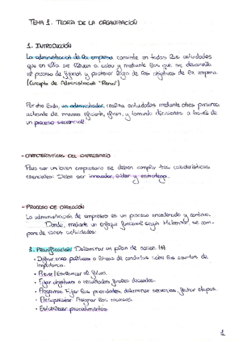 TEMARIO-COMPLETO-Org.pdf